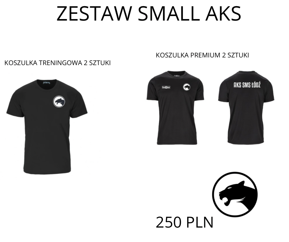 Kopia-ZESTAW-BIG.PNG